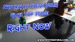 Naturally Clean Glass Top Stove