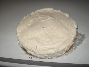 Homemade Ice Cream Cake Recipe Layer