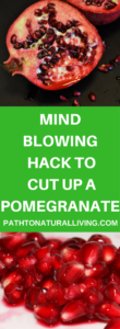 Mind Blowing Hack to Cut Up a Pomegranate. Cut up a pomegranate in a few short minutes.