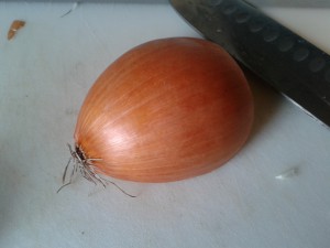 How to cut an onion without tears - step 2