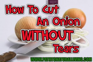 How to Cut an Onion Without Tears - the best way to cut an onion