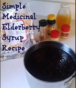 Medicinal Elderberry Syrup Recipe