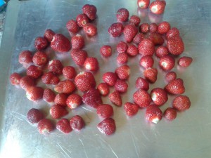 Freeze Strawberries Flat