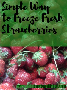 Simple Way to Freeze Fresh Strawberries