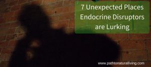 7 Unexpected Places Endocrine Disruptors are Lurking