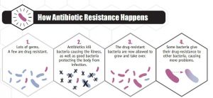 How Antibiotic Resistance Happens